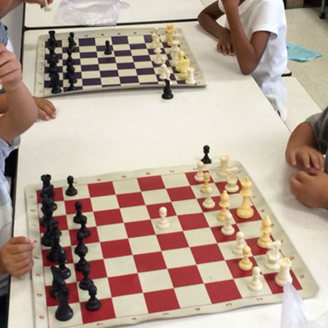 Our tigers develop strategic skills during a game of chess.