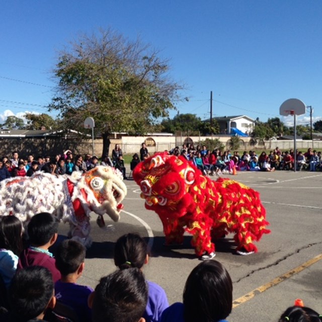 Our dragon dance shows students the significance of Vietnamese traditions.