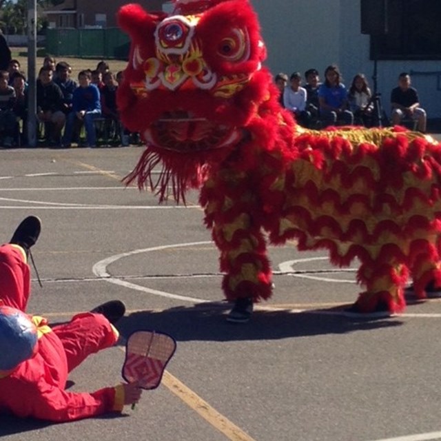 Students are entertained by dragon dancers during the school's cultural assembly!