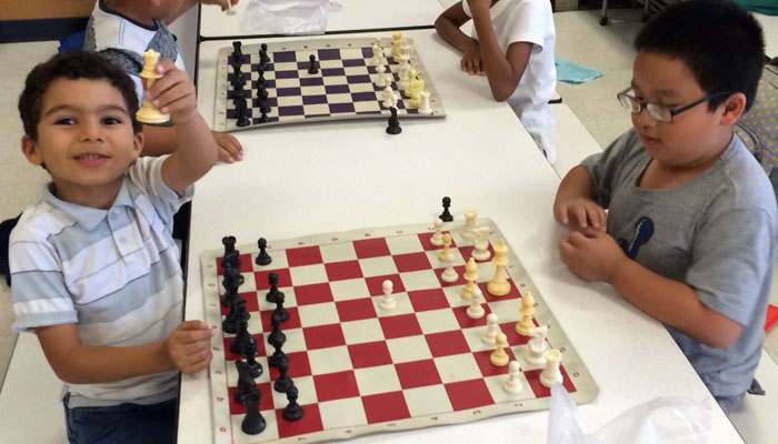 Our tigers develop strategic skills during a game of chess.