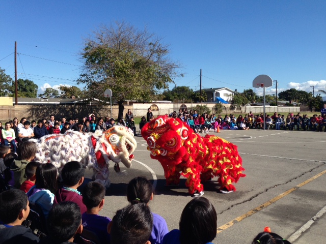 Our dragon dance shows students the significance of Vietnamese traditions.